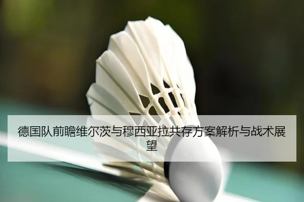 德国队前瞻维尔茨与穆西亚拉共存方案解析与战术展望